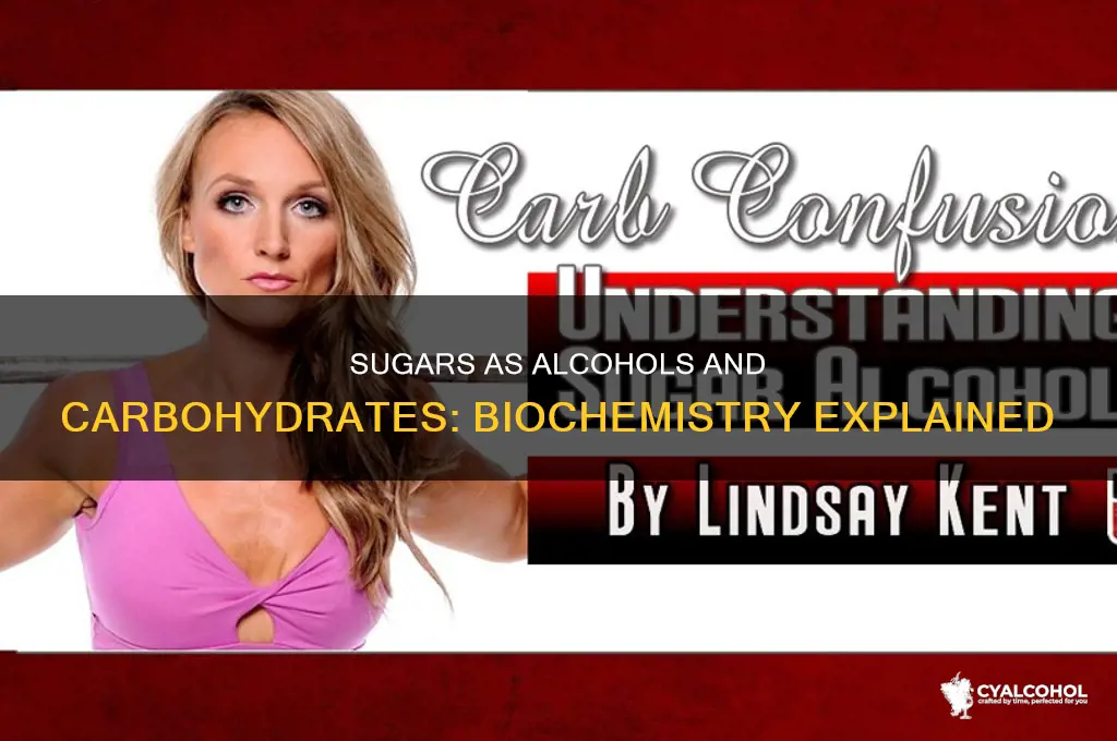 why are sugars considered alcohols and carbohydrates biochemistry