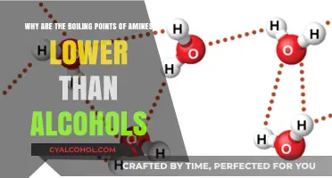 Amines vs Alcohols: Boiling Points and Their Differences