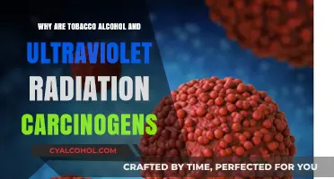 Tobacco, Alcohol, UV Rays: Understanding Their Carcinogenic Impact