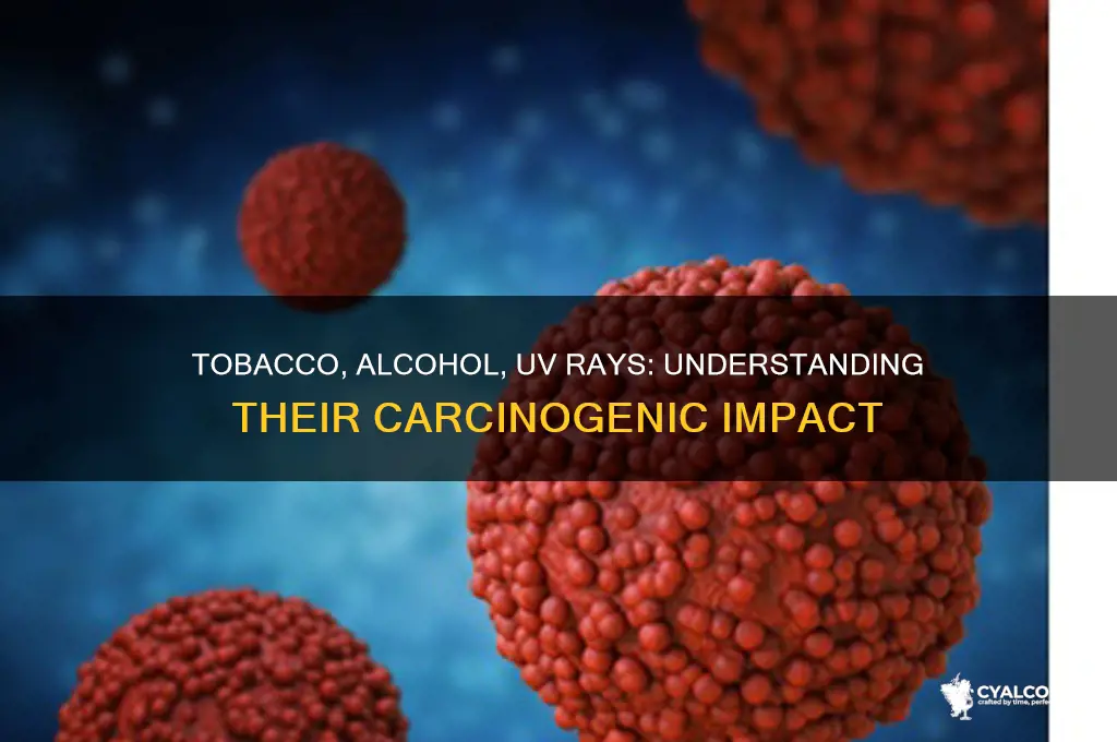 why are tobacco alcohol and ultraviolet radiation carcinogens