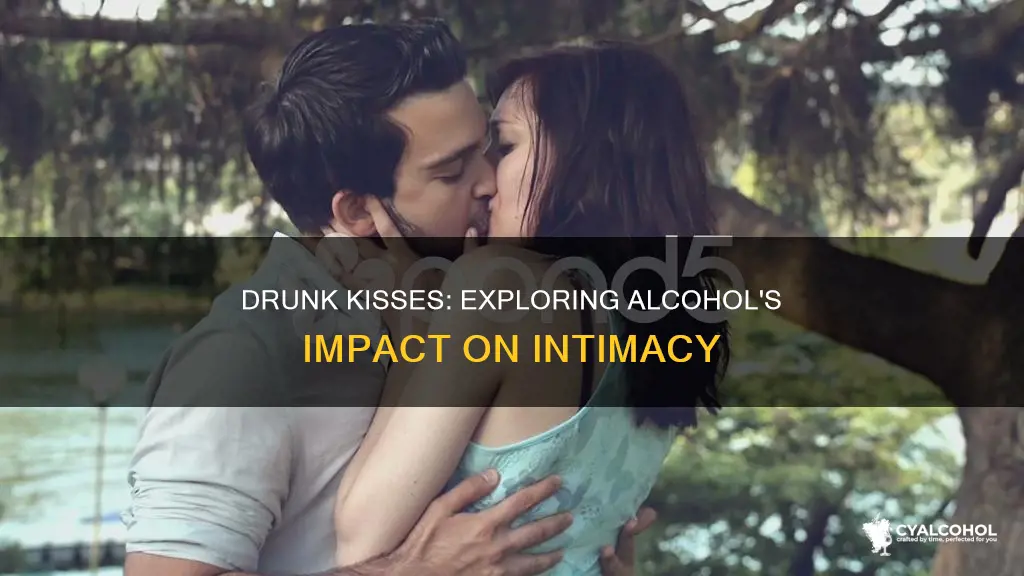 why are you kissing me it must be the alcohol