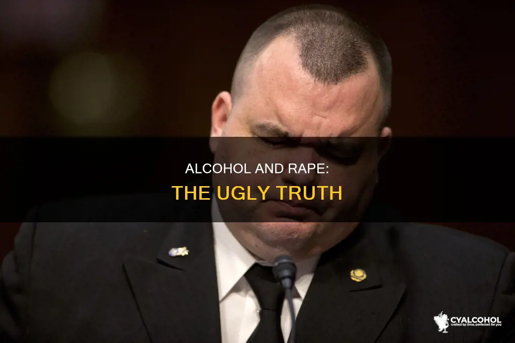 why blame it on the alcohol is about rape