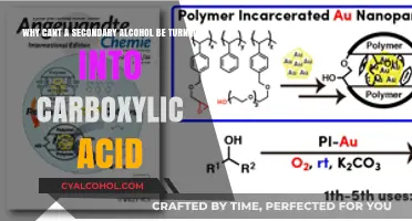 Secondary Alcohols: Why They Resist Carboxylic Acid Formation