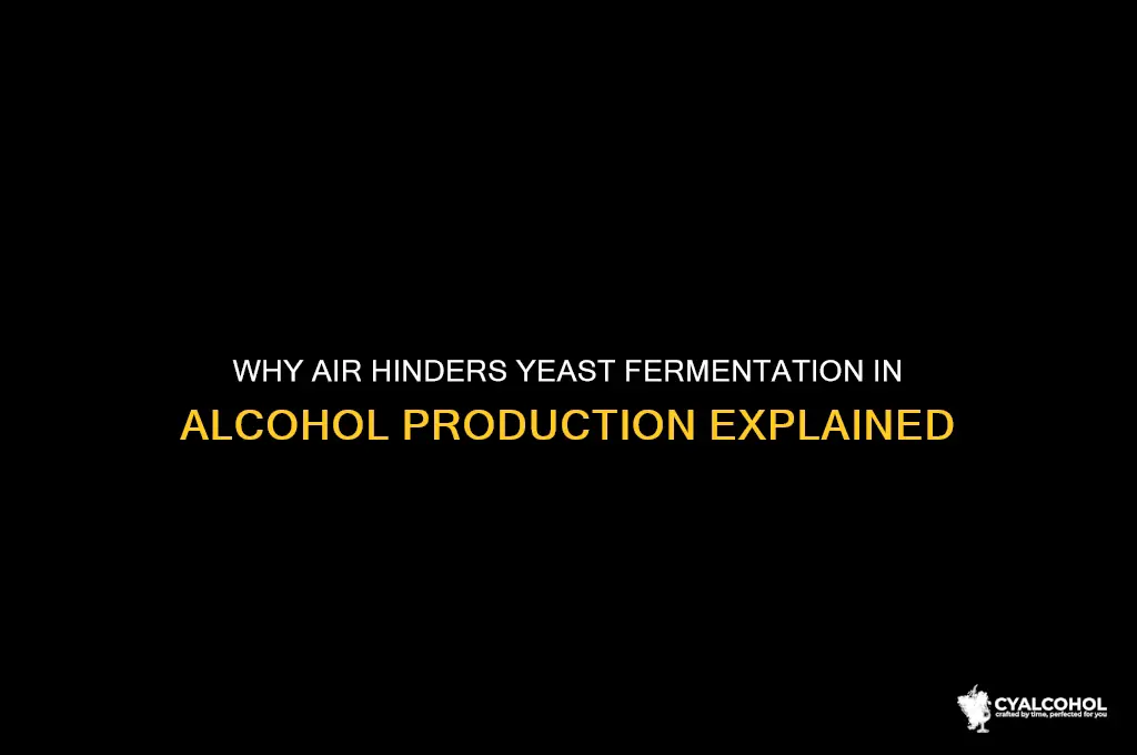 why cant air be in yeast making alcohol