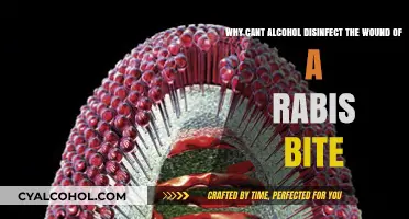 Alcohol Ineffective for Rabies Wound Disinfection: Here's Why