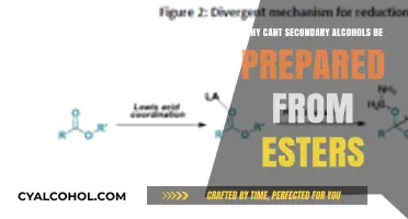 Secondary Alcohols and Esters: Understanding the Preparation Limitations