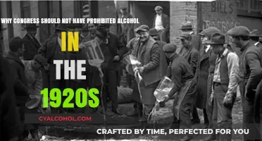 Congress' Prohibition: A Mistake in the 1920s