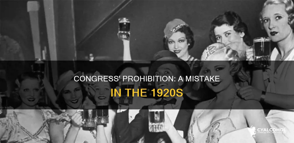 why congress should not have prohibited alcohol in the 1920s