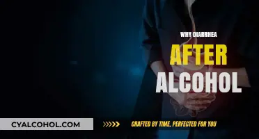 Why Alcohol Triggers Diarrhea: Understanding the Gut-Alcohol Connection