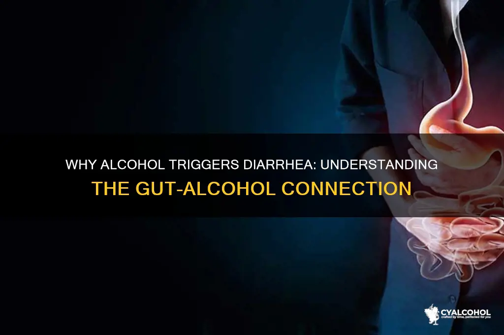 why diarrhea after alcohol