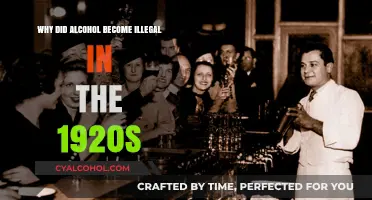 Prohibition's Rise: Why Alcohol Was Banned in the 1920s