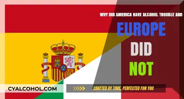 Alcohol Trouble: America vs Europe