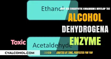 Evolutionary Advantage: Alcohol Dehydrogenase in Eukaryotes