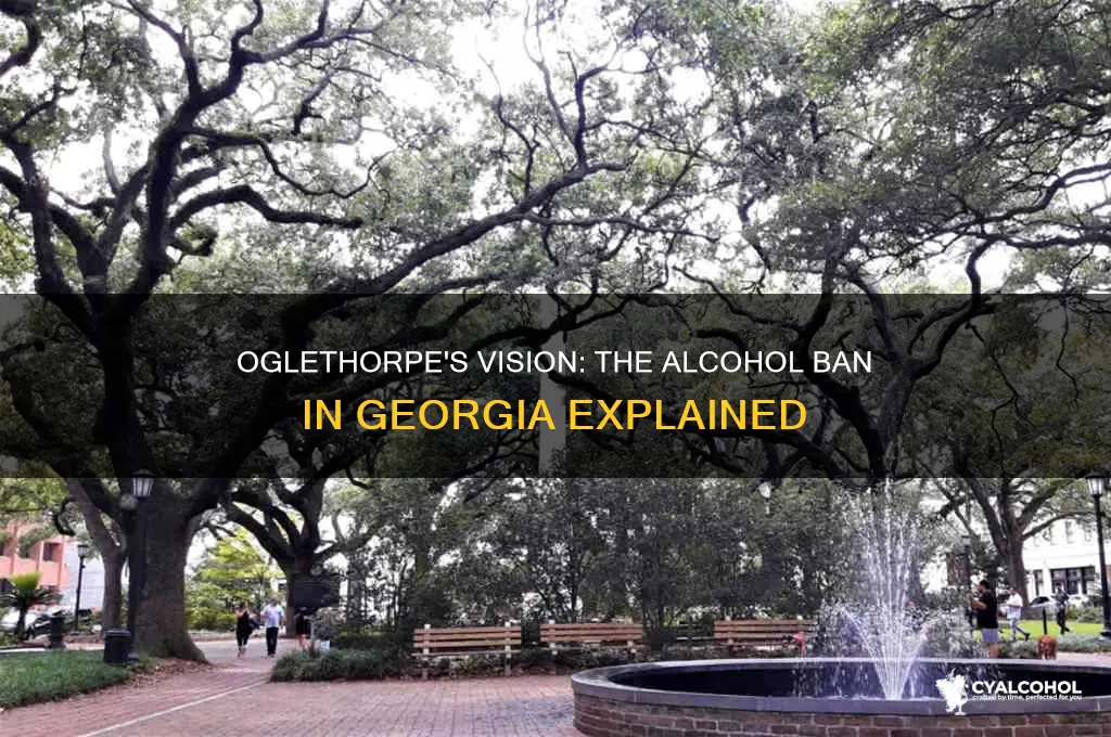why did james oglethorpe ban alcohol in georgia
