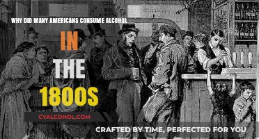 Alcohol in 1800s America: A Social Lubricant