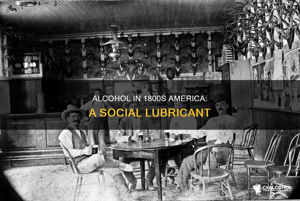 why did many americans consume alcohol in the 1800s