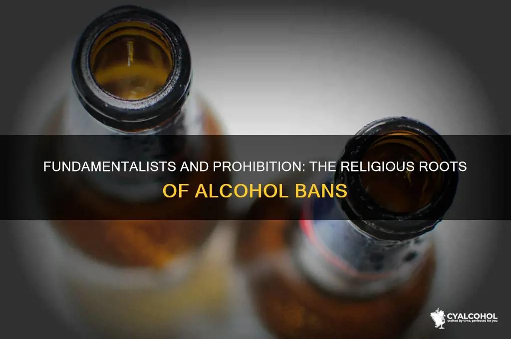 why did many fundamentalists support prohibition of alcohol