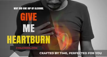 Heartburn and Alcohol: A Single Sip's Effect