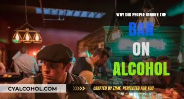 Prohibition's Failure: Why People Defied the Alcohol Ban