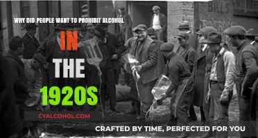 The Prohibition Era: Why Alcohol Became Illegal