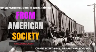 Prohibitionists' Push: Eradicating Alcohol's American Influence