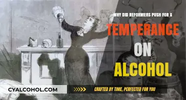 Reformers' Push for Temperance: Alcohol's Negative Influence