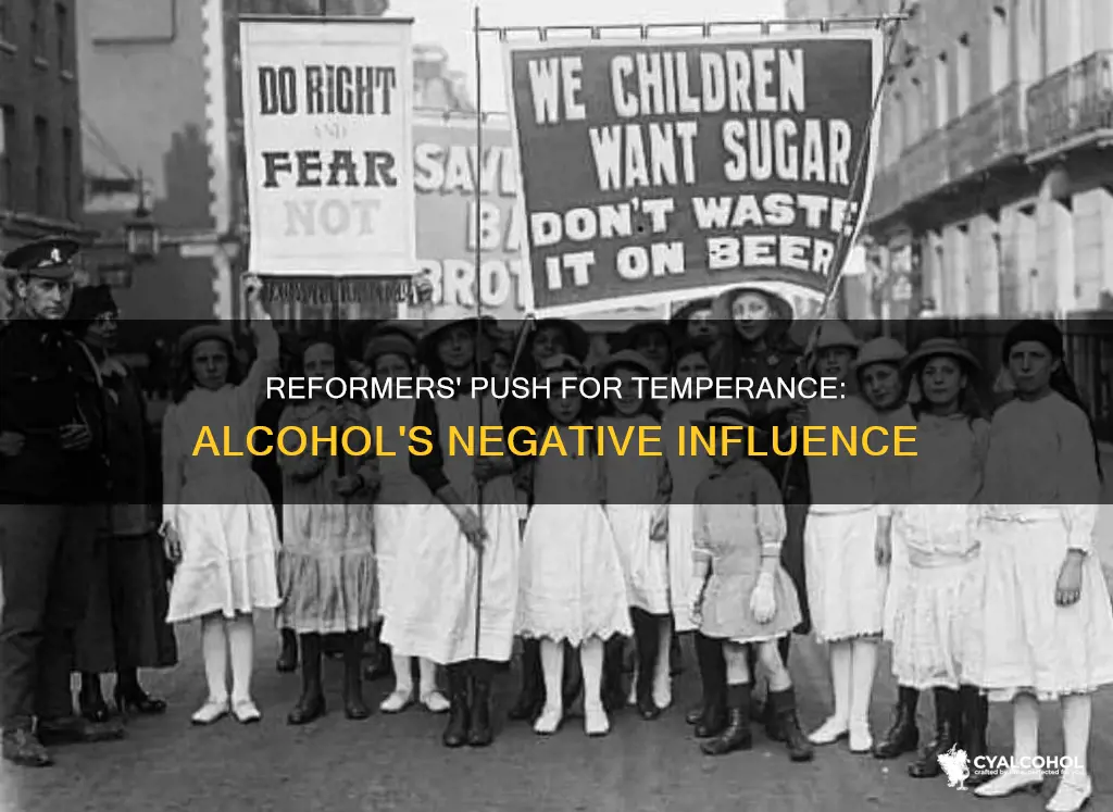 why did reformers push for a temperance on alcohol
