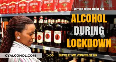 South Africa's Alcohol Ban: Lockdown Measures and Public Health Concerns