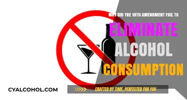 Prohibition's Failure: Why America Still Drank