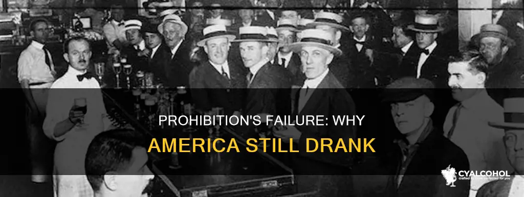 why did the 18th amendment fail to eliminate alcohol consumption