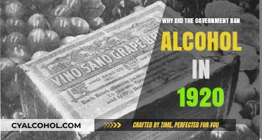 Prohibition's Rise: Unraveling the 1920 Alcohol Ban's Complex Origins