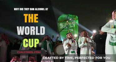 Alcohol Ban at World Cup: Why?
