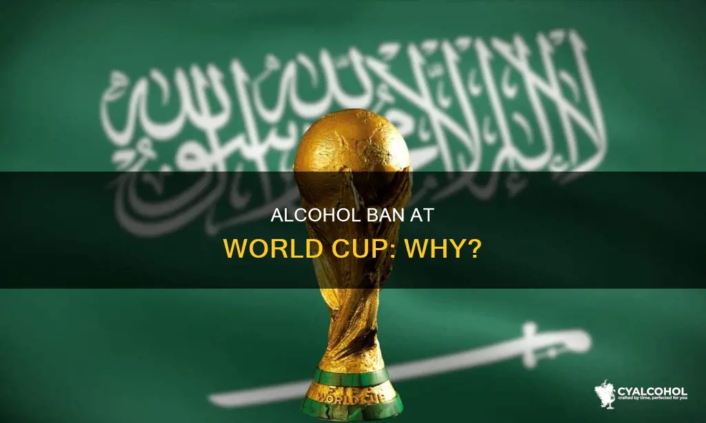 why did they ban alcohol at the world cup