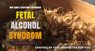 Ancient Egyptian Beer Consumption: Why No Fetal Alcohol Syndrome Cases?