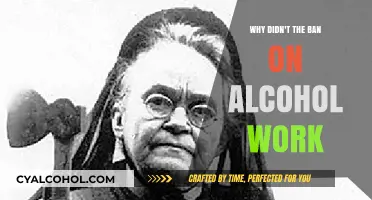 Prohibition's Failure: Why the Alcohol Ban Didn't Succeed in America