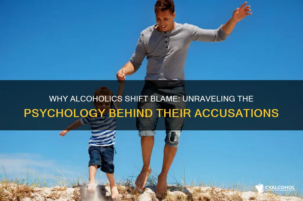 why do alcoholics blame others for their problems