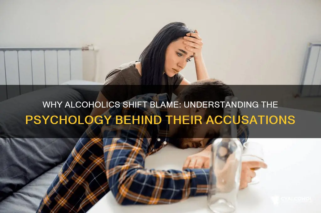 why do alcoholics blame others