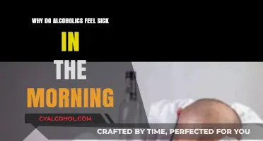 Morning After Malaise: Understanding Alcoholics' Nausea and Sickness