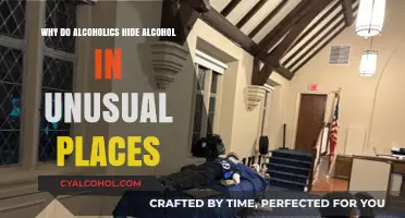 Unusual Hiding Spots: Understanding Alcoholics' Secret Stashes and Shame