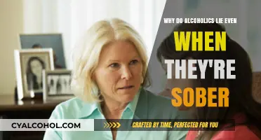 Alcoholics and Lying: A Sober Truth