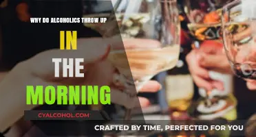 Morning Sickness for Alcoholics: Understanding Why They Throw Up