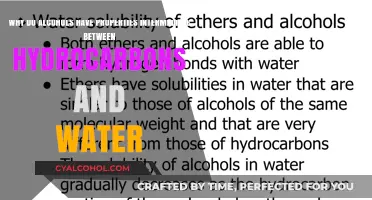 Alcohol's Unique Nature: Bridging Hydrocarbons and Water