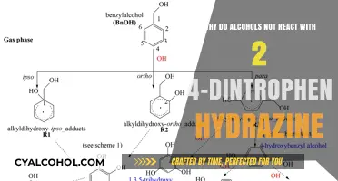 The Unreactive Nature of Alcohols and 2,4-Dintrophenyl Hydrazine