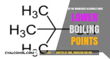Branched Alcohols: Understanding Their Lower Boiling Points and Why
