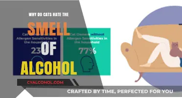 Why Cats Despise Alcohol Smell: Uncovering Feline Sensitivity and Reactions
