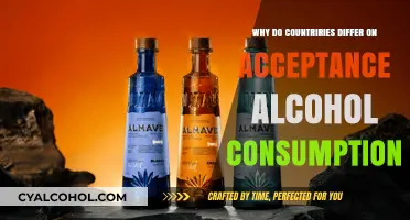 Cultural, Religious, and Historical Factors Shaping Alcohol Acceptance Globally