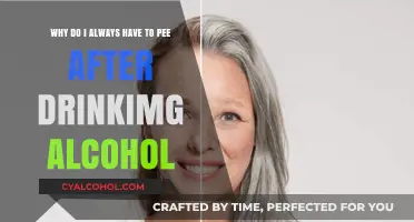 Alcohol and Urination: Why the Frequent Need to Pee?