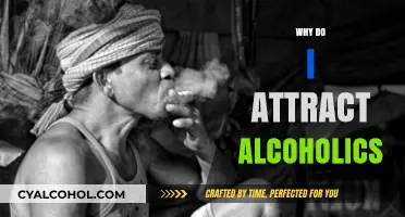 Why Do I Attract Alcoholics? Understanding Patterns and Breaking Cycles