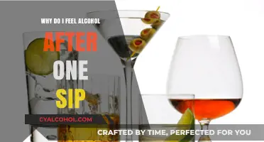 One Sip Wonder: Why Alcohol Hits Hard So Quickly