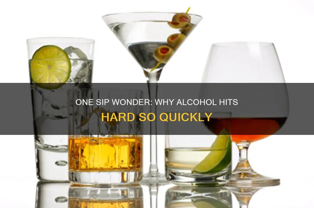 why do i feel alcohol after one sip